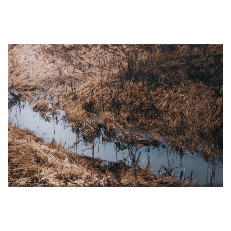 Olhava Avantgarde Music